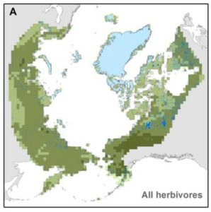 herbivore diversity map