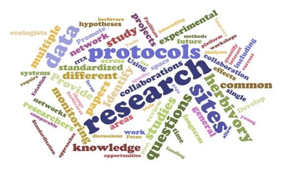 wordcloud
